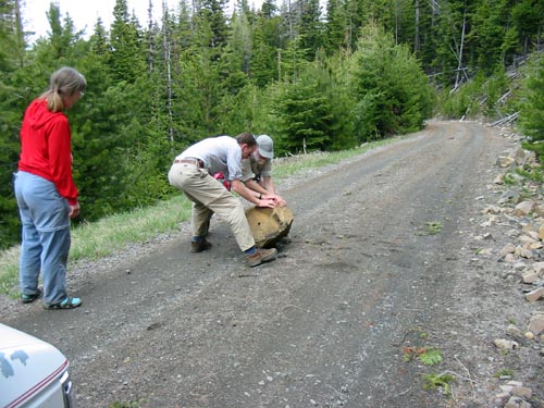 rolling a boulder off the road